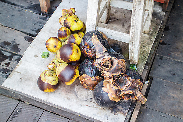 포토 JPG 해외이미지 나무 식물 아시아 음식 농업 과일 태국 열대 독일 손바닥 사람없음 야외 목재 장식 초록색 빛 농장 농경지 정원 수확 신선 그룹 맛 널 숲 큼 설탕 그림 남쪽 내추럴 주장 해외202004 해외포토 손 유럽 나라 산업 컬러 컨셉 재료 크기 방향 파일형식 이미지허브