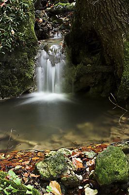 포토 JPG 해외이미지 나무 계절 공원 감정 잎 모션 자연 풍경 사람없음 야외 빨간색 초록색 물 평화 폭포 흐름 가을 바위 개울 고독 숲 묘사 암초 불가리아 해외202004 해외포토 자연요소 식물 공공시설 컬러 컨셉 강 돌_바위 생태계 파일형식 남유럽 이미지허브