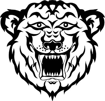 EPS 해외이미지 동물 학생 조각 오렌지 일러스트 자연 불 털 노란색 머리 검은색 흰색 호랑이 눈썹 문신 코 시력 양모 동물상 총구 해외202004 해외일러스트 자연요소 얼굴 컬러 과일 포유류 신체부위 조형물 직물 생태계 파일형식 벡터 이미지허브