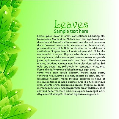 EPS 해외이미지 나무 식물 디자인 배너 공원 선 백그라운드 컨셉 잎 꽃무늬 패턴 일러스트 자연 추상 프레임 미술 장식 초록색 여름 숫자 노란색 라벨 환경 정원 봄 성장 신선 화려 우아함 허브 질감 서식 시트 내추럴 구성 생태학 해외202004 해외일러스트 문자 계절 공공시설 교육 꽃 컬러 무늬 문화예술 생태계 파일형식 벡터 이미지허브