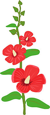 EPS 해외이미지 식물 디자인 꽃 잎 꽃무늬 일러스트 자연 추상 미술 장식 여름 벚꽃 아욱 해외202004 해외일러스트 계절 무늬 문화예술 생태계 파일형식 벡터 이미지허브