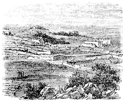 EPS 해외이미지 나무 디자인 기독교 종교 문화 일러스트 미술 야외 마을 검은색 성경 수확 골동품 흰색 예수 역사 재산 인쇄 스케치 그림 복고 정사각형 신성 판화 보관소 순례 신앙심 예루살렘 옛날 지리 해외202004 해외일러스트 도형 식물 컬러 농업 종교용품 문화예술 금융 신_종교 저장 이스라엘 파일형식 벡터 이미지허브