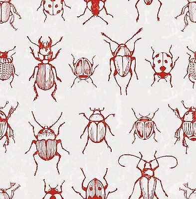 EPS 해외이미지 동물 디자인 종이 야생동물 곤충 백그라운드 패턴 일러스트 자연 벽지 생물 미술 내부 장식 빨간색 유행 봄 수확 직물 면 벌레 인쇄 자르기 수집 딱정벌레 타일 오브젝트 그림 질감 생물학 손그림 그런지 바이오 엘리먼트 옛날 이국적 현실 해외202004 해외일러스트 계절 교육 컬러 무늬 농업 모션 문화예술 생태계 파일형식 벡터 이미지허브