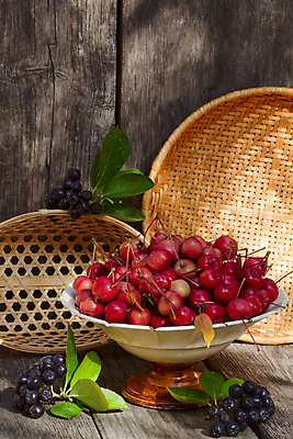 포토 JPG 해외이미지 식물 계절 열매 음식 백그라운드 잎 농업 다이어트 과일 자연 건강 사람없음 빨간색 초록색 햇빛 꽃병 식사 나뭇가지 신선 사과 생태계 원예 밭일 숙성 식용 영양분 영양소 옛날 해외202004 해외포토 나무 꽃 산업 컬러 취미 태양 파일형식 이미지허브