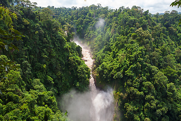 포토 JPG 해외이미지 나무 공원 잎 모션 태국 자연 산 국립공원 풍경 사람없음 목재 초록색 물 강 환경 봄 폭포 젖음 흐름 가을 바위 신선 개울 떨어짐 정상 숲 큼 내추럴 해외202004 해외포토 자연요소 식물 계절 공공시설 아시아 컬러 컨셉 재료 돌_바위 크기 생태계 파일형식 이미지허브