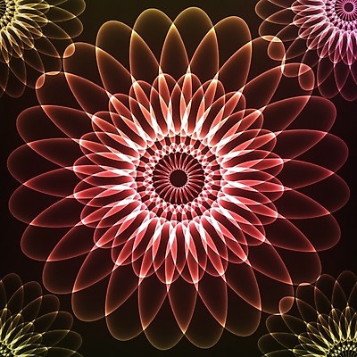 EPS 해외이미지 모양 템플릿 디자인 꽃잎 꽃 행복 별 파도 백그라운드 컨셉 꽃무늬 일러스트 자연 벽지 하늘 추상 새로움 프레임 미술 그래픽 장식 빨간색 빛 3D 우주 검은색 어둠 흰색 원형 신용카드 신비 만다라 스타일 해외202004 해외일러스트 자연요소 도형 식물 감정 바다 컬러 무늬 문화예술 금융 디지털합성 생태계 파일형식 벡터 이미지허브