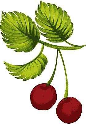 EPS 해외이미지 나무 손 디자인 꽃 백그라운드 잎 꽃무늬 패턴 일러스트 자연 수채화 미술 여러명 장식 여름 페인트 봄 수확 흰색 시간 신용카드 그리기 체리 만화 질감 복고 손그림 부족 우크라이나 해외202004 해외일러스트 식물 계절 유럽 컬러 다수 컨셉 무늬 농업 과일 모션 문화예술 사람 신체부위 금융 생태계 파일형식 벡터 이미지허브