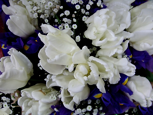 포토 JPG 해외이미지 식물 꽃 백그라운드 잎 꽃무늬 밭 오렌지 자연 풍경 사람없음 야외 빨간색 초록색 여름 컬러풀 햇빛 태양 노란색 머리 정원 봄 활발 튤립 벚꽃 신선 내추럴 해외202004 해외포토 자연요소 계절 컬러 컨셉 무늬 농업 과일 신체부위 생태계 파일형식 이미지허브