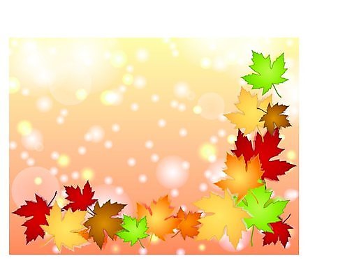 EPS 해외이미지 나무 식물 디자인 계절 단풍 잎 오렌지 일러스트 자연 프레임 종류 그림자 그래픽 빨간색 초록색 빛 컬러풀 갈색 추위 가을 원형 신용카드 혼합 숲 그늘 옵션 효과 해외202004 해외일러스트 도형 컬러 과일 금융 생태계 파일형식 벡터 이미지허브