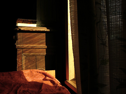 포토 JPG 해외이미지 자연 사람없음 숲 생태학 해외202004 해외포토 교육 생태계 파일형식 이미지허브