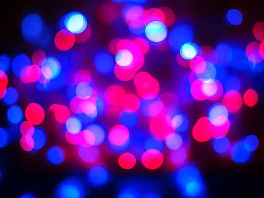 포토 JPG 해외이미지 나무 디자인 배너 커플 계절 결혼 백그라운드 크리스마스 겨울 패턴 추상 휴가 프레임 발렌타인데이 사랑 미술 사람없음 장식 빨간색 초록색 물 파란색 빛 컬러풀 파티 검은색 봄 흰색 하트 야간 소프트포커스 질감 보케 광 블러 효과 해외202004 해외포토 자연요소 모양 식물 기념일 감정 컬러 무늬 관계 데이이벤트 문화예술 촬영기법 이벤트 파일형식 이미지허브