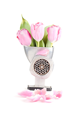 포토 JPG 해외이미지 식물 꽃잎 꽃 분홍색 꽃다발 백그라운드 컨셉 잎 꽃무늬 성공 육류 사람없음 초록색 기계 봄 튤립 성장 벚꽃 신선 작업 개화 다발 오브젝트 속도 만들기 강렬 고립 무생채 해외202004 해외포토 계절 컬러 무늬 식재료 모션 파일형식 이미지허브