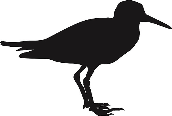 EPS 해외이미지 모양 동물 디자인 실루엣 포즈 백그라운드 날개 일러스트 조류 형상 미술 검은색 자유 흰색 문신 깃털 사인 그림 꼬리 스타일 해외202004 해외일러스트 컬러 컨셉 문화예술 촬영기법 파일형식 벡터 이미지허브