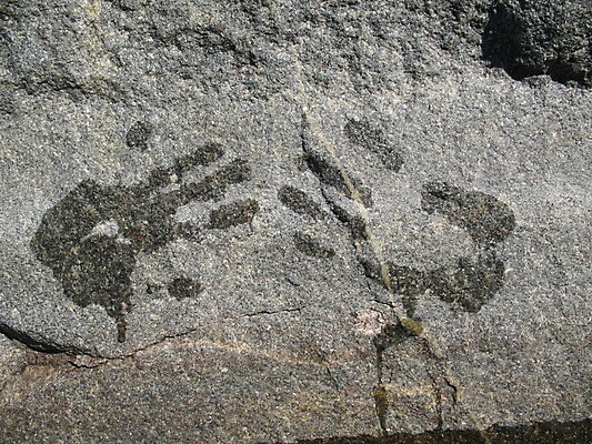 포토 JPG 해외이미지 손 어린이 손가락 놀이 손바닥 미술 사람없음 물 페인트 젖음 인쇄 지문 해외202004 해외포토 자연요소 문화예술 사람 신체부위 파일형식 이미지허브