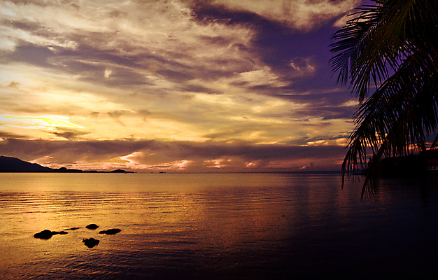 포토 JPG 해외이미지 나무 구름 아시아 모래 바다 섬 여행 태국 하늘 휴가 휴식 손바닥 사랑 동양인 사람없음 물 여름 파란색 햇빛 태양 여행객 일몰 뜨거움 휴게실 군중 탈출 인도네시아 암초 사암 강렬 예산 파라다이스 해외202004 해외포토 자연요소 식물 손 계절 감정 나라 컬러 컨셉 사람 인종 노을 돌_바위 파일형식 이미지허브