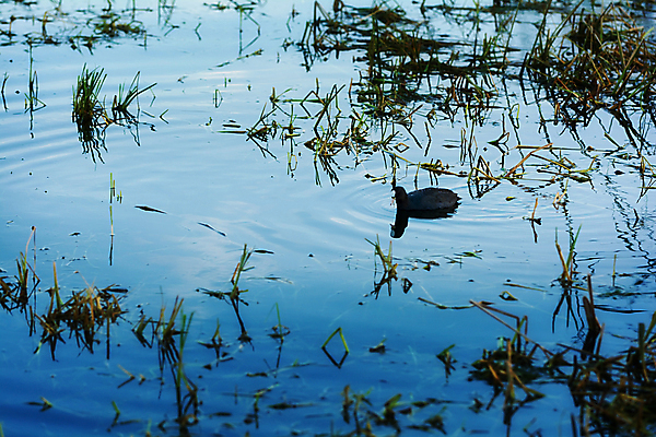 포토 JPG 해외이미지 호수 여행 풍경 사람없음 물 관광지 중국 고요 내추럴 해외202004 해외포토 자연요소 아시아 파일형식 이미지허브