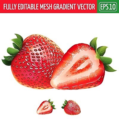 EPS 해외이미지 클립아트 일러스트 딸기 디저트 사람없음 슬라이스 해외202004 해외일러스트 음식 과일 파일형식 벡터 이미지허브