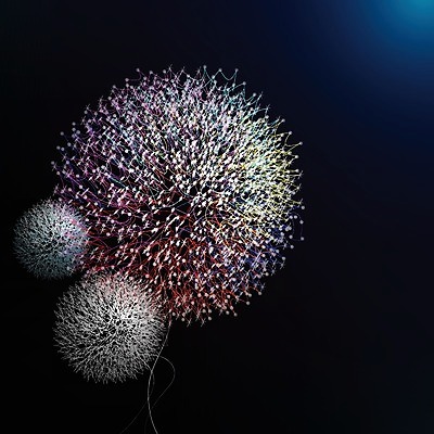 EPS 해외이미지 식물 디자인 계절 꽃 실루엣 백그라운드 잎 꽃무늬 패턴 밭 일러스트 자연 추상 갈대 미술 잔디 장식 여름 정원 검은색 봄 수확 성장 잠자리 민들레 불기 허브 그림 고립 타격 해외202004 해외일러스트 컬러 곤충 무늬 농업 모션 문화예술 촬영기법 생태계 파일형식 벡터 이미지허브