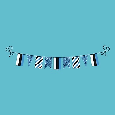 EPS 해외이미지 전통 디자인 행복 문화 줄 캠페인 여행 컨셉 일러스트 휴가 기념 이벤트 그래픽 장식 파티 축제 웹 자유 축하 깃발 플랫 만화 선거 심볼 사인 애국심 고립 독립 에스토니아 엘리먼트 전국 해외202004 해외일러스트 감정 유럽 인터넷 민주주의 파일형식 벡터 나라 이미지허브