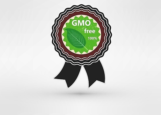 EPS 해외이미지 디자인 배너 음식 과학 백그라운드 컨셉 농업 다이어트 일러스트 포장 자연 건강 실험 안전 초록색 경제 쇼핑 라벨 환경 정보 시장 실험실 상품 무서움 먹기 허브 에코 유기농 성분 바둑 우표 혁명 고립 그런지 무료 바이오 밭일 유전자변형 채식주의자 비건 해외202004 해외일러스트 식물 웰빙 감정 산업 컬러 모션 놀이 프레임 생태계 채식 파일형식 벡터 이미지허브