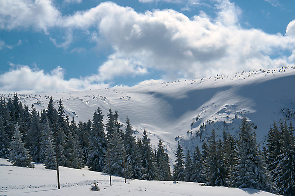 포토 JPG 해외이미지 나무 식물 구름 겨울 자국 하늘 산 경사 사람없음 하이킹 관목 폴란드 선로 제설기 가문비나무 해외202004 해외포토 자연요소 계절 유럽 레저 제설 파일형식 이미지허브