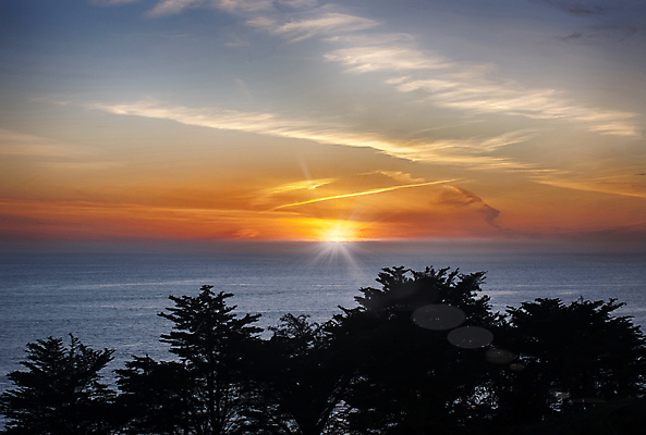 포토 JPG 해외이미지 주간 나무 구름 해외풍경 실루엣 바다 하늘 사람없음 야외 태양 노을 미국 캘리포니아 수평선 해외202004 해외포토 자연요소 식물 해외 북아메리카 촬영기법 풍경 파일형식 이미지허브