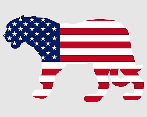 EPS 해외이미지 동물 배너 실루엣 백그라운드 일러스트 빨간색 파란색 고양이 미국 흰색 깃발 큼 심볼 사인 북쪽 표범 고립 동물상 재규어 전국 해외202004 해외일러스트 컬러 북아메리카 포유류 촬영기법 반려동물 조형물 크기 방향 파일형식 벡터 이미지허브