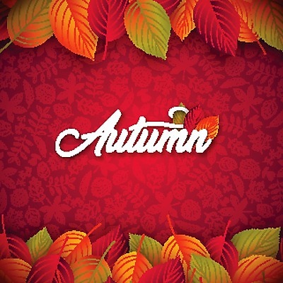 EPS 해외이미지 나무 식물 템플릿 손 디자인 배너 계절 포스터 백그라운드 컨셉 단풍 잎 오렌지 일러스트 자연 추상 프레임 미술 장식 빨간색 컬러풀 노란색 세일 가을 흰색 신용카드 그리기 그룹 낙서 소프트포커스 9월 수집 질감 10월 고립 블러 엘리먼트 해외202004 해외일러스트 컬러 무늬 과일 모션 문화예술 촬영기법 신체부위 금융 날짜 생태계 파일형식 벡터 이미지허브