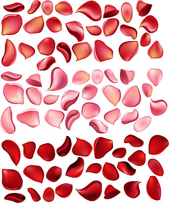 EPS 해외이미지 클립아트 식물 디자인 기념일 꽃잎 꽃 분홍색 결혼 꽃무늬 일러스트 휴가 휴식 발렌타인데이 사랑 미술 장식 빨간색 세트 장미 스파 벚꽃 가을 그리기 그룹 고급 우아함 수집 오브젝트 싱글 흰배경 그림 클립 S 고립 엘리먼트 많음 세련 현실 해외202004 해외일러스트 알파벳 계절 감정 컬러 백그라운드 컨셉 무늬 모션 데이이벤트 문화예술 이벤트 흰색 파일형식 벡터 이미지허브