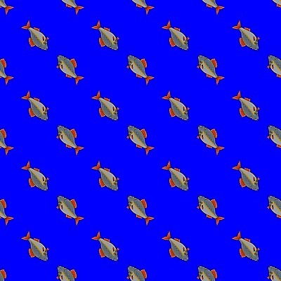 EPS 해외이미지 동물 척추동물 산업 야생동물 음식 바다 백그라운드 패턴 신체 일러스트 자연 낚시 생물 건강 육류 어류 취미 물 머리 수중 젖음 신선 잡기 입 은색 작음 큼 먹기 해산물 피부 준비 유기농 눈금 꼬리 지느러미 고립 단백질 민물 생식 해외202004 해외일러스트 자연요소 웰빙 컬러 무늬 식재료 모션 레저 신체부위 수중동물 크기 생태계 영양소 파일형식 벡터 이미지허브