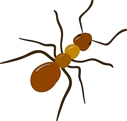EPS 해외이미지 동물 캐릭터 디자인 행복 실루엣 야생동물 나비 곤충 백그라운드 날개 일러스트 자연 생물 미술 그래픽 여름 세트 검은색 흰색 해충 벌레 잠자리 말벌 작음 만화 벌 수집 딱정벌레 심볼 사인 그림 무당벌레 거미 개미 고립 모기 엘리먼트 해외202004 해외일러스트 일러캐릭터 계절 감정 컬러 문화예술 촬영기법 크기 생태계 파일형식 벡터 이미지허브