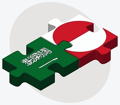 EPS 해외이미지 조각 컨셉 일러스트 비즈니스 관계 아프리카 협력 함께함 사람 그래픽 3D 깃발 퍼즐 연결 결합 접속 오브젝트 흰배경 아라비아 나눔 해결 사우디아라비아 그린란드 고립 아랍어 왕국 전국 정부 정치 통일 해외202004 해외일러스트 나라 섬 백그라운드 중동 덴마크 흰색 디지털합성 파일형식 벡터 이미지허브