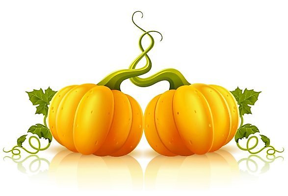 EPS 해외이미지 식물 음식 줄기 백그라운드 단풍 잎 2 꽃무늬 채소 오렌지 과일 일러스트 자연 호박 초록색 식사 가을 흰색 나뭇가지 쌍 버드나무 오브젝트 그림 포도나무 박 추수감사절 내추럴 고립 숙성 진짜 채식주의자 해외202004 해외일러스트 나무 계절 꽃 기독교 컬러 무늬 과일나무 생태계 채식 파일형식 벡터 이미지허브