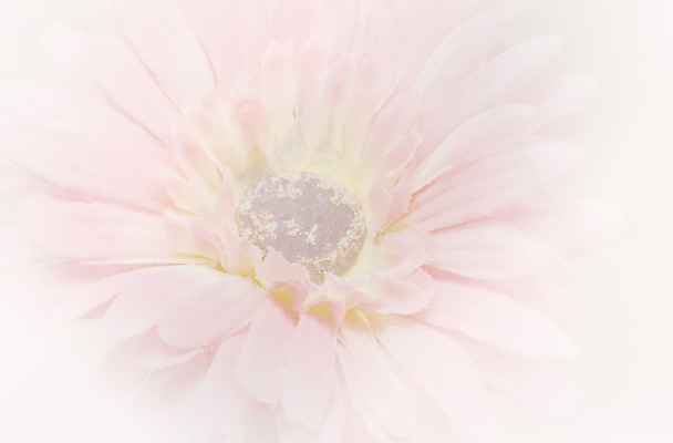 포토 JPG 해외이미지 식물 기념일 꽃 분홍색 결혼 백그라운드 꽃무늬 벽지 사람없음 장식 얼룩 아빠 낟알 고민 질감 부드러움 판지 골절 블러 썩음 양피지 어머니의날 해외202004 해외포토 감정 컬러 무늬 의학 가족 이벤트 감각 미국문화 파일형식 이미지허브