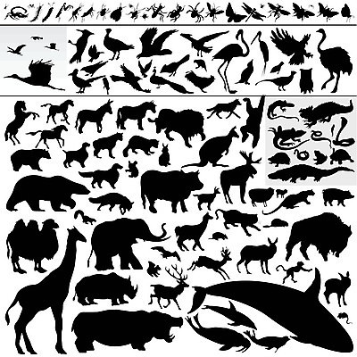 EPS 해외이미지 동물 실루엣 포스터 길 야생동물 곤충 일러스트 포유류 가족 자연 조류 사슴 코끼리 세트 농장 원숭이 양 호랑이 소 선택 개 벌레 인쇄 사자 물개 들소 수집 기린 고래 돌고래 황소 윤곽 여우 낙타 하마 코뿔소 당나귀 양고기 표범 동물상 자취 해외202004 해외일러스트 컨셉 농업 관계 촬영기법 육류 조형물 바다동물 수중동물 말_동물 생태계 파일형식 벡터 이미지허브