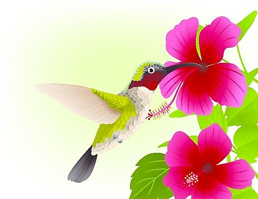 EPS 해외이미지 식물 여자 꽃 야생동물 백그라운드 일러스트 자연 조류 미술 취미 야외 빨간색 초록색 정원 벚꽃 흰색 관찰 작음 꿀 동물상 루비 벌새 수유 취급주의 히비스커스 해외202004 해외일러스트 동물 컬러 모션 문화예술 경고 사람 조형물 크기 보석 생태계 파일형식 벡터 이미지허브