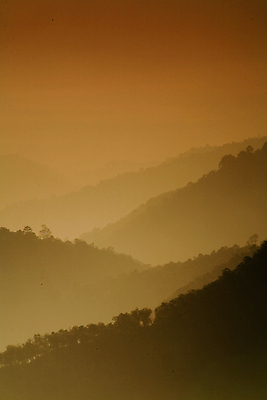 포토 JPG 해외이미지 나무 식물 구름 디자인 공원 꽃잎 꽃 분홍색 꽃다발 백그라운드 잎 꽃무늬 패턴 자연 하늘 아침 추상 주택 미술 풍경 사람없음 야외 빨간색 초록색 여름 파란색 빛 컬러풀 햇빛 태양 노란색 정원 맑음 봄 흰색 신선 닫기 숲 내추럴 스타일 해외202004 해외포토 주간 자연요소 계절 공공시설 컬러 무늬 모션 날씨 문화예술 건물 생태계 파일형식 이미지허브