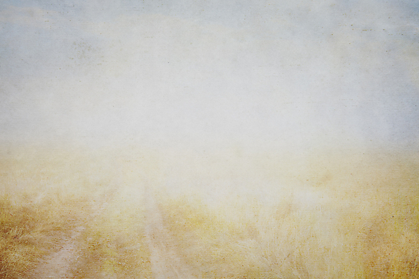 포토 JPG 해외이미지 구름 종이 벽 백그라운드 패턴 밭 일러스트 자연 하늘 추상 프레임 풍경 사람없음 야외 장식 초록색 여름 파란색 컬러풀 갈색 노란색 페인트 공백 수확 골동품 흰색 시골 얼룩 질감 복고 캔버스 페이지 찢어짐 그런지 양피지 옛날 원고 노화 해외202004 해외포토 자연요소 계절 컬러 컨셉 무늬 농업 모션 생태계 파일형식 이미지허브