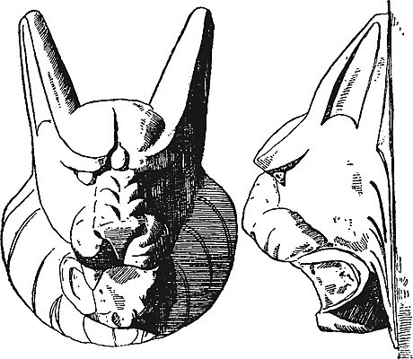 EPS 해외이미지 선 일러스트 미술 머리 검은색 수확 흰색 가득함 그림 판화 스라소니 해외202004 해외일러스트 컬러 농업 포유류 문화예술 신체부위 파일형식 벡터 이미지허브