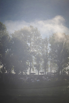 포토 JPG 해외이미지 나무 구름 계절 공원 여행 백그라운드 자연 하늘 아침 휴가 산 풍경 사람없음 야외 초록색 여름 파란색 빛 컬러풀 햇빛 태양 일출 환경 계곡 어둠 황혼 일몰 봄 새벽 안개 가을 흰색 시골 숲 언덕 장면 내추럴 뿌연 전국 절정 환상 해외202004 해외포토 주간 자연요소 식물 공공시설 컬러 컨셉 날씨 노을 생태계 파일형식 이미지허브