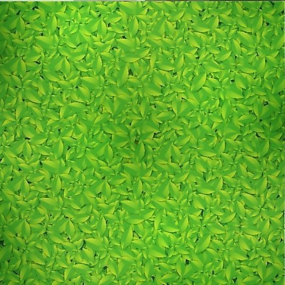 EPS 해외이미지 식물 백그라운드 잎 꽃무늬 패턴 일러스트 자연 초록색 여름 환경 봄 성장 신선 에코 유기농 질감 내추럴 생태학 해외202004 해외일러스트 웰빙 계절 교육 꽃 컬러 무늬 생태계 파일형식 벡터 이미지허브