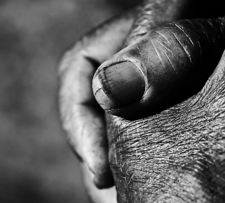 포토 JPG 해외이미지 남자 종교 지도 손가락 관리 사람없음 빛 교회 믿음 어둠 희망 기도 잡기 예수 영혼 아빠 고독 질문 심볼 약속 신성 용서 단아함 복음 신앙심 접기 충실 안락 해외202004 해외포토 손 감정 컨셉 가족 종교건축 모션 사람 건물 신_종교 파일형식 이미지허브