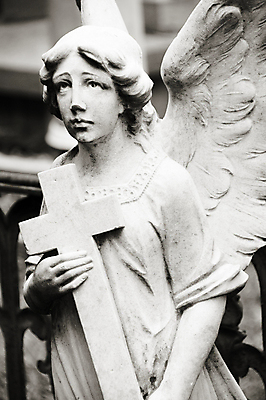 포토 JPG 해외이미지 십자가 천사 요정 잔디 사람없음 조각상 믿음 할로윈 죽음 무덤 묘사 천연기념물 고딕 로마인 보호구역 신앙심 장례식 해외202004 해외포토 식물 감정 인종 조형물 구역 파일형식 이미지허브