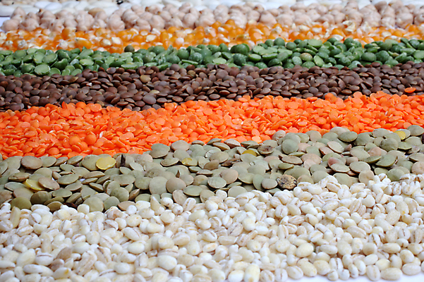 포토 JPG 해외이미지 식물 선 음식 조각 백그라운드 패턴 농업 다이어트 채소 재료 추상 콩 건조 건강 종류 옥수수 씨앗 사람없음 수확 신선 그룹 변화 맥박 혼합 낟알 수집 먹기 순수 유기농 질감 완두콩 날것 모음 내추럴 축적 단백질 병아리콩 생식 섞기 채식주의자 많음 해외202004 해외포토 웰빙 산업 컨셉 무늬 의학 모션 곡류 한글 채식 영양소 파일형식 이미지허브