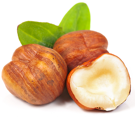 포토 JPG 해외이미지 식물 음료 음식 백그라운드 자연 실내 씨앗 사람없음 갈색 견과류 흰색 먹기 유기농 흙더미 개암나무 고립 구성 헤이즐넛 해외202004 해외포토 나무 웰빙 컬러 모션 내부 흙 생태계 파일형식 더미 이미지허브