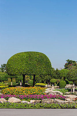 포토 JPG 해외이미지 나무 식물 디자인 드레스 계절 공원 꽃 잎 자연 하늘 건조 미술 풍경 사람없음 목재 장식 초록색 컬러풀 햇빛 농장 정원 산책 바위 흰색 신선 뜨거움 숲 그늘 과수원 땅 자르기 손질 난쟁이 구성 방법 생존 해외202004 해외포토 옷 공공시설 컬러 농업 재료 모션 문화예술 휴식 태양 돌_바위 생태계 파일형식 이미지허브