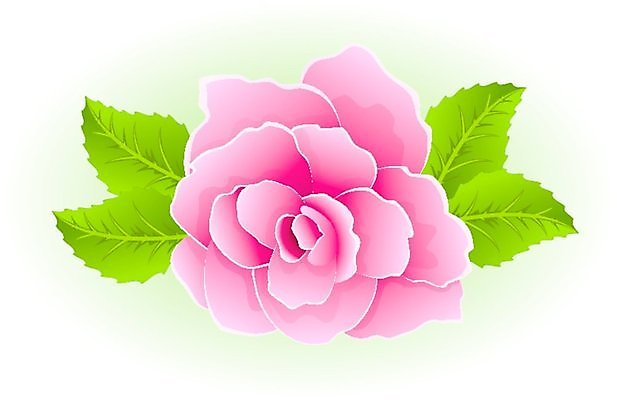 EPS 해외이미지 모양 식물 디자인 계절 꽃 분홍색 백그라운드 잎 꽃무늬 패턴 일러스트 자연 추상 휴가 발렌타인데이 사랑 미술 장식 빨간색 초록색 여름 장미 봄 흰색 축하 인사 우아함 심볼 스타일 해외202004 해외일러스트 감정 컬러 컨셉 무늬 데이이벤트 문화예술 예절 생태계 파일형식 벡터 이미지허브