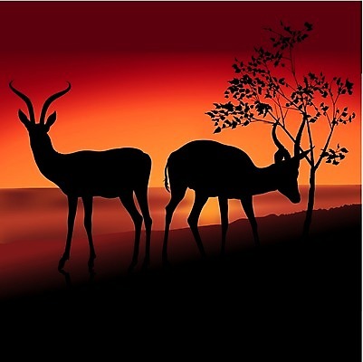 EPS 해외이미지 동물 실루엣 야생동물 백그라운드 일러스트 포유류 아프리카 자연 뿔 서기 풍경 일몰 황무지 사파리 영양 가젤 해외202004 해외일러스트 나라 모션 촬영기법 노을 생태계 파일형식 벡터 이미지허브