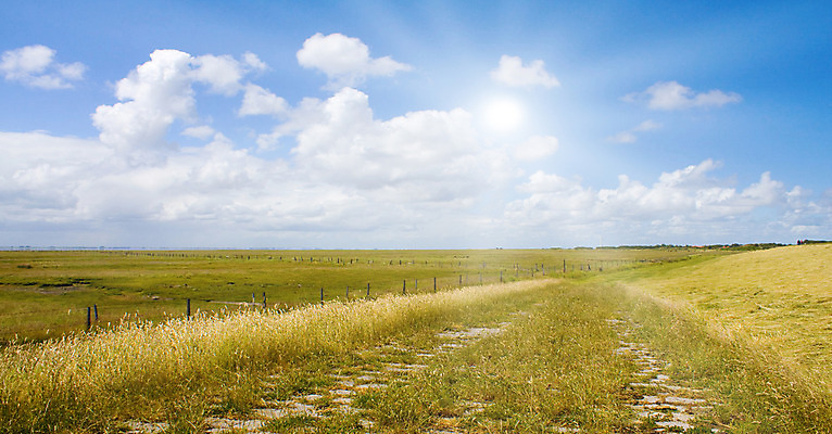 포토 JPG 해외이미지 식물 구름 계절 백그라운드 밭 자연 하늘 파노라마 풍경 잔디 사람없음 야외 초록색 여름 파란색 빛 컬러풀 햇빛 농장 노란색 환경 정원 맑음 봄 활발 시골 신선 땅 밭일 생태학 수평선 해외202004 해외포토 자연요소 교육 컬러 컨셉 농업 날씨 촬영기법 태양 생태계 파일형식 이미지허브