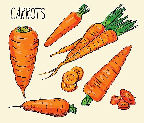 EPS 해외이미지 모양 식물 헤어스타일 디자인 실루엣 선 음식 백그라운드 컨셉 잎 패턴 채소 일러스트 텍스트 자연 미술 그래픽 여름 세트 라벨 당근 수확 성장 가을 그룹 낙서 그래피티 정상 인쇄 만화 스케치 사인 그림 복고 클립 심플 윤곽 고립 엘리먼트 해외202004 해외일러스트 계절 무늬 농업 문화예술 뿌리채소 프레임 촬영기법 생태계 파일형식 벡터 이미지허브